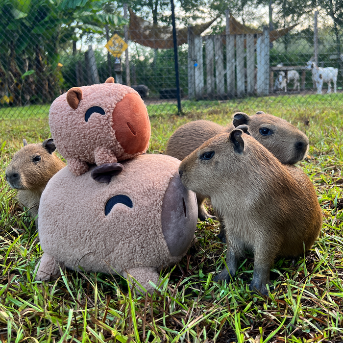 capybara