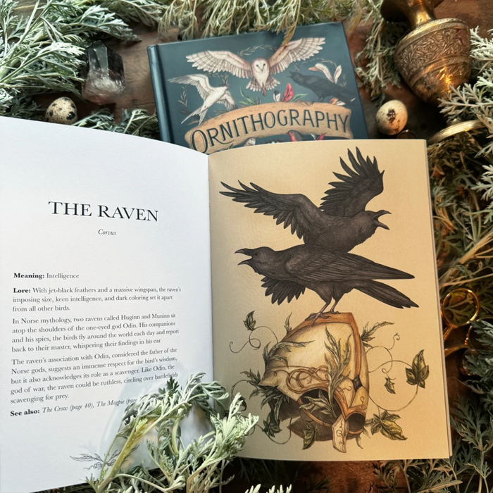 Ornithography: An Illustrated Guide to Bird Lore & Symbolism