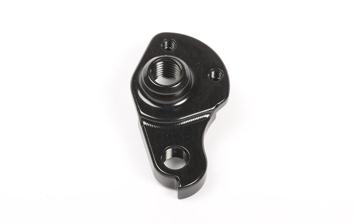 Warden Carbon Derailleur Hanger