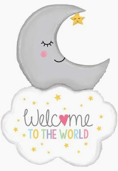 Welcome to the World Foil Balloon