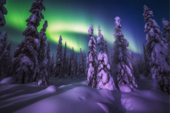 Aurora Borealis Ice Forest