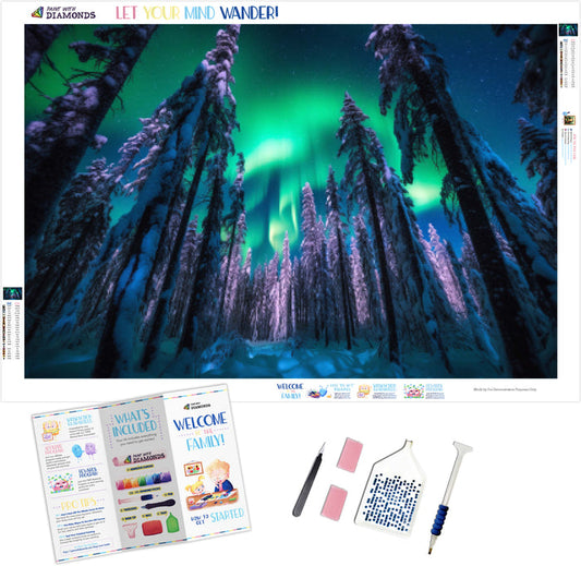 Aurora Ice Forest