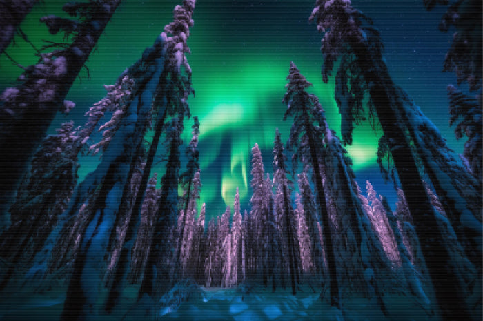 Aurora Ice Forest