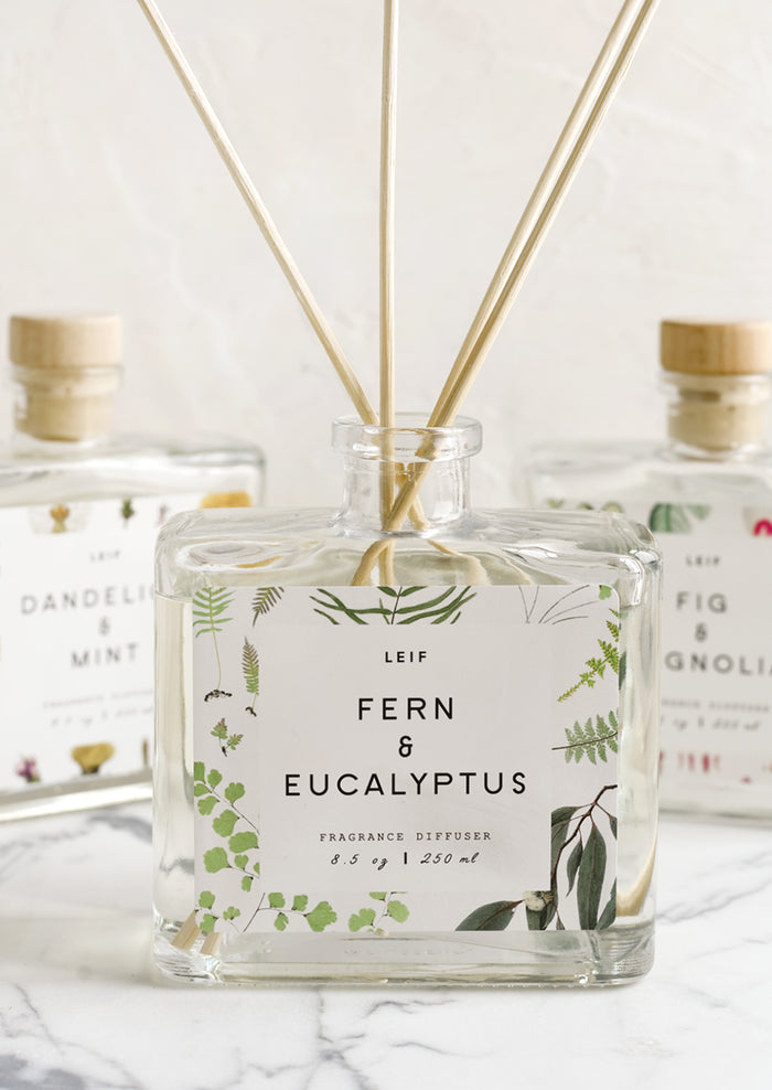 A fern and eucalyptus scented reed diffuser with glass bottle.