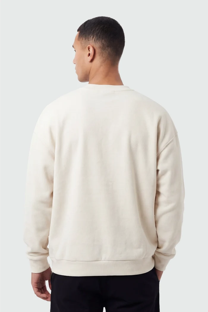 Champions Oversized Crewneck Sweaters - Back