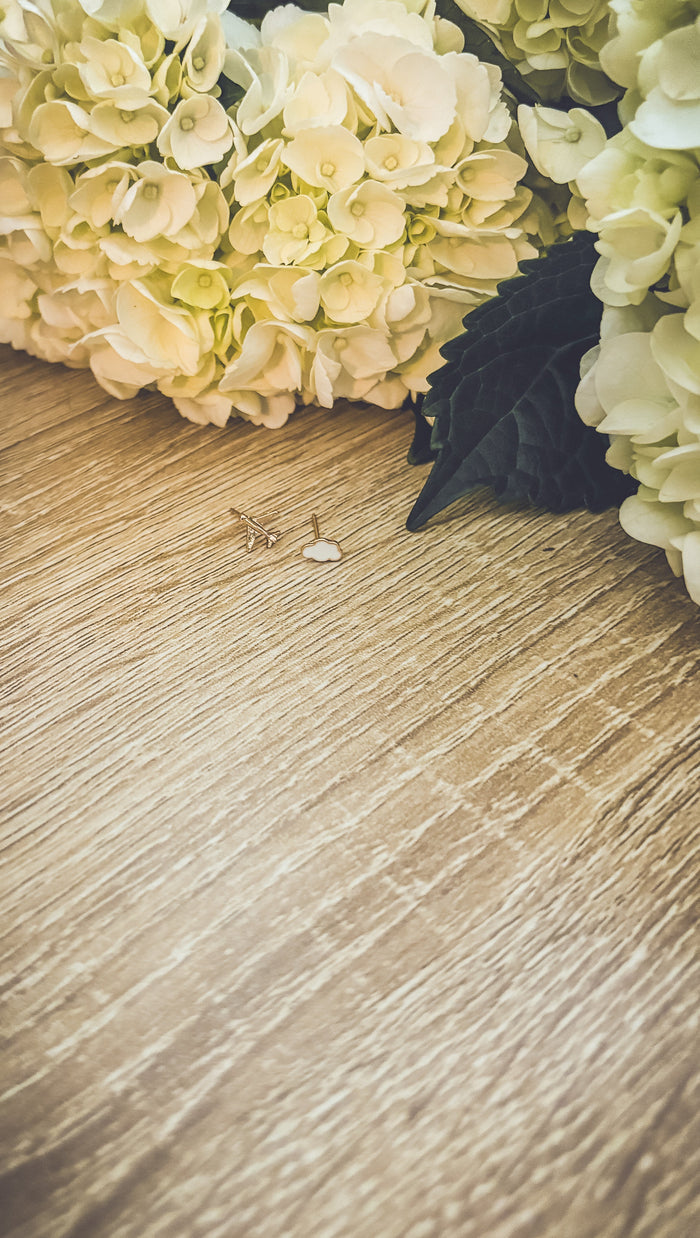Adorable Cloud and Airplane Stud Earrings Rooted Home Goods