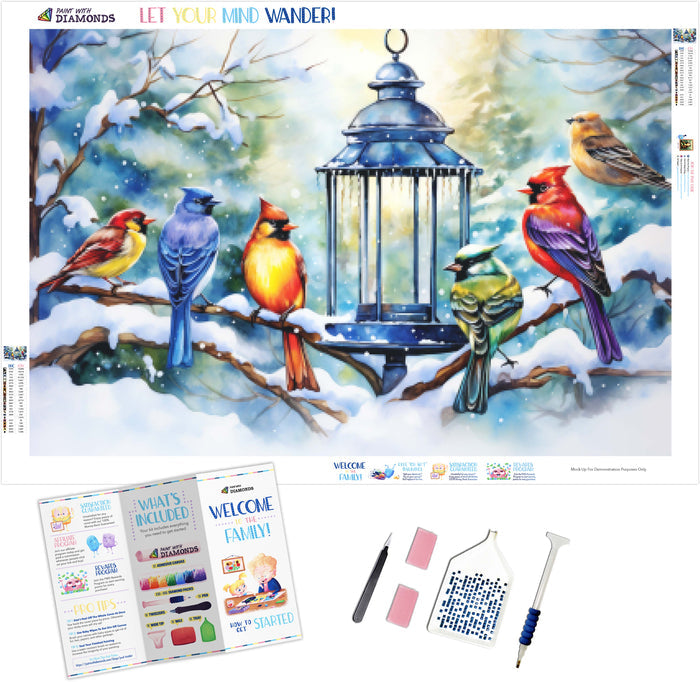 Colorful Winter Birds Feeding