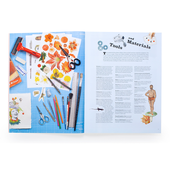 Extraordinary Things to Cut Out and Collage Book