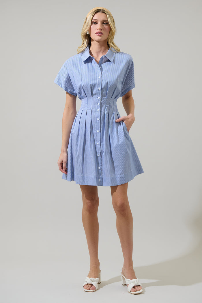 Fannie Striped Alix Mini Dress
