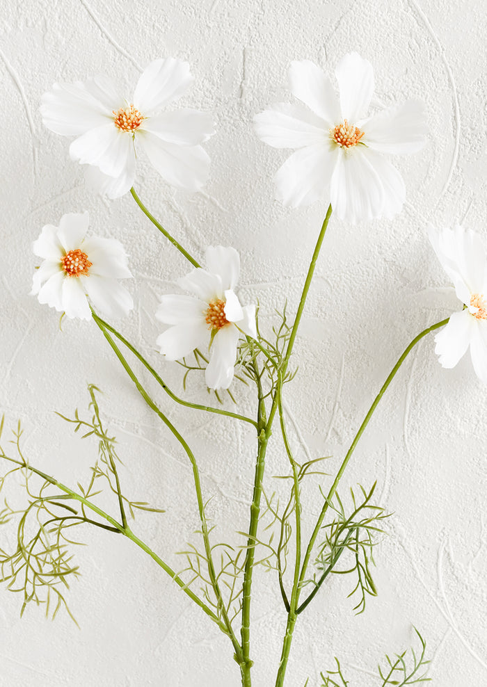 An artificial floral spray of white cosmos flowers.
