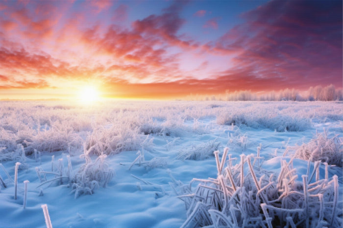 Frosty Meadow