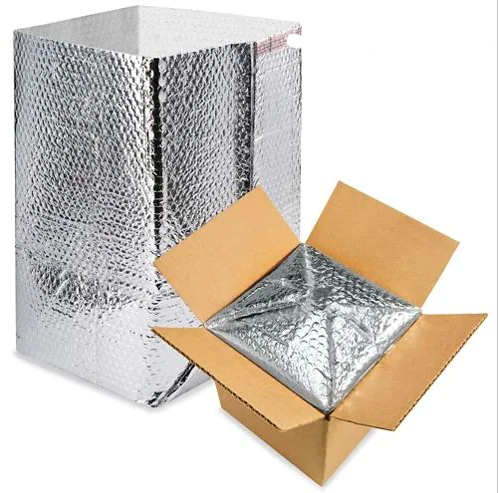 Frozen Shipping Kit - Ice Packs & Thermal Bag