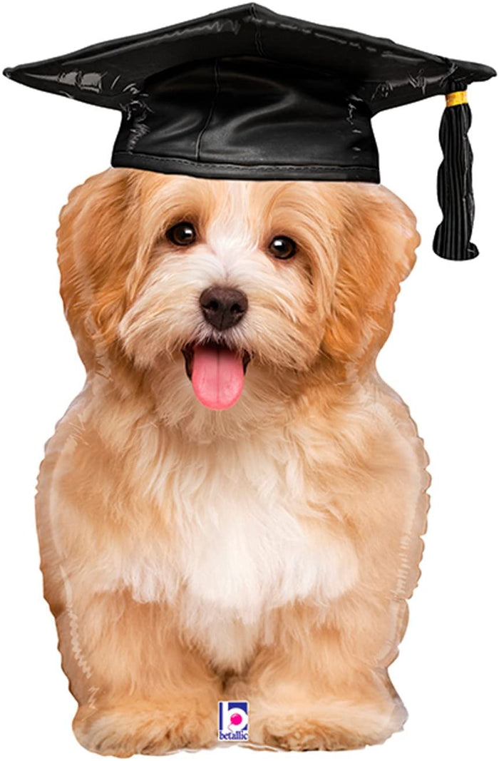 Grad Puppy Balloon