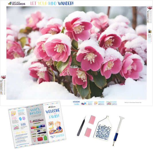 Hellebores In Snow