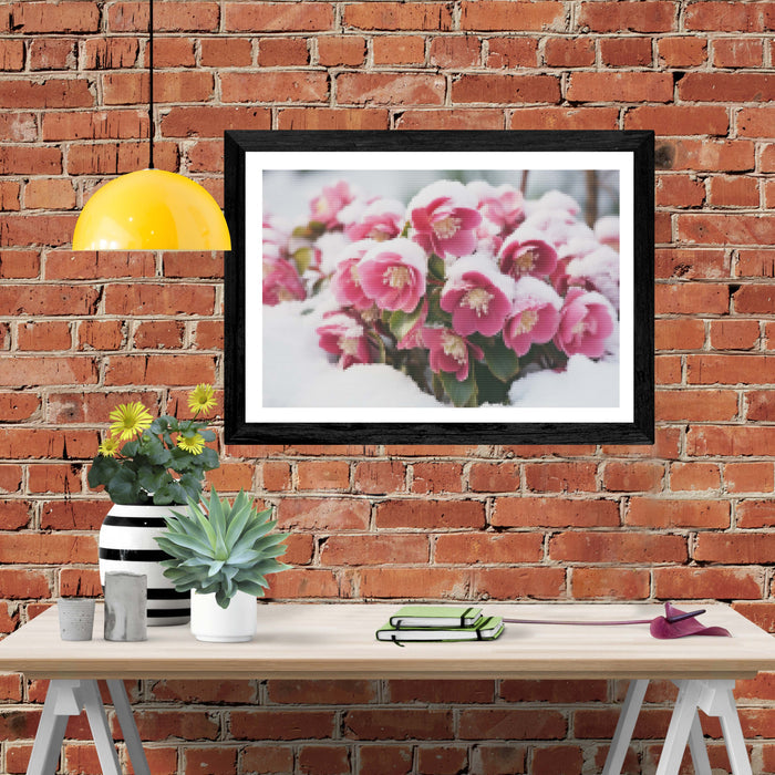 Hellebores In Snow