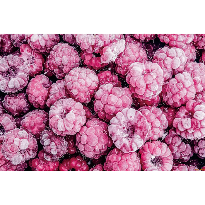 Ingooood Wooden Jigsaw Puzzle 1000 Piece - Raspberry - Ingooood jigsaw puzzle 1000 piece