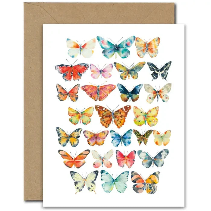 Large Butterflies