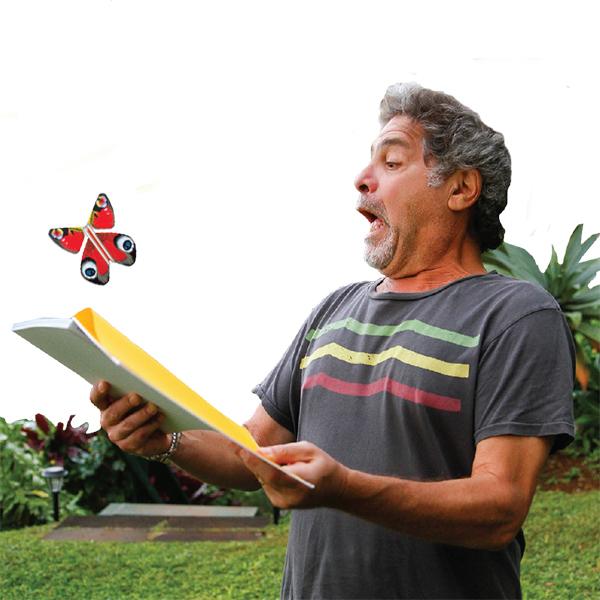 Magic Flying Butterfly