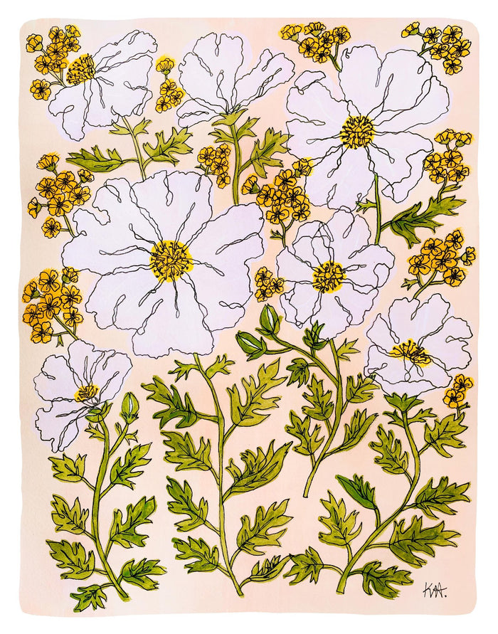 "Matilija Poppy" Print by Kim Hoppe
