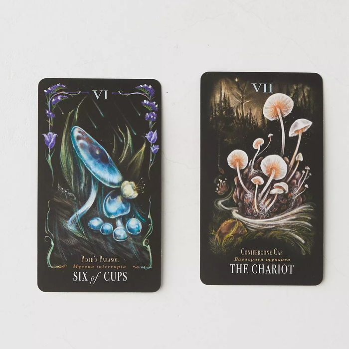 Midnight Magic: Tarot Deck of Mushrooms