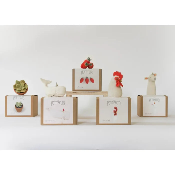 Needle Felting Kits