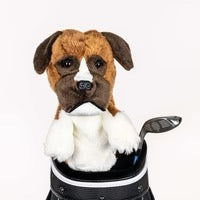 New Daphne's Boxer Headcover