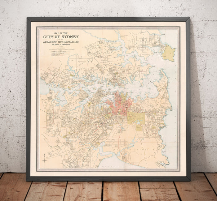 Old Map of Sydney in 1890 by Bartholomew - Port Jackson, Potts Point, Parramatta River, Botany Bay, Darling Point