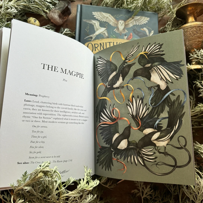 Ornithography: An Illustrated Guide to Bird Lore & Symbolism