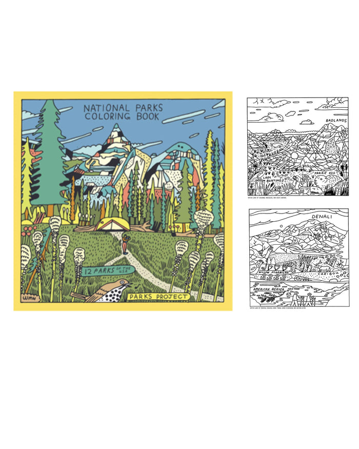 Shop National Park Coloring Book | multi-color