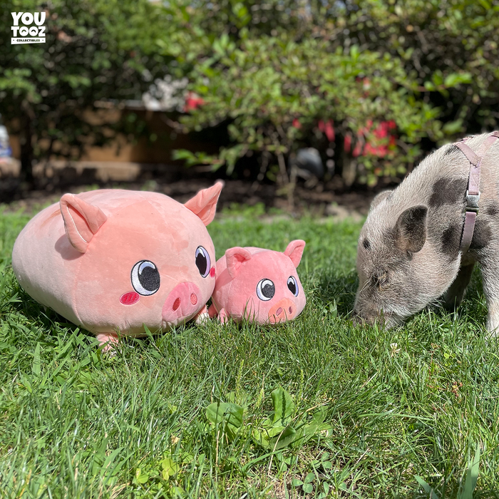 pig-stickie-pillow
