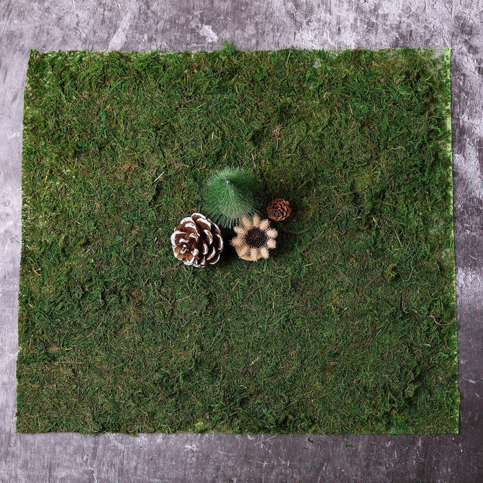 Natural moss mat with pinecones and decorative elements.