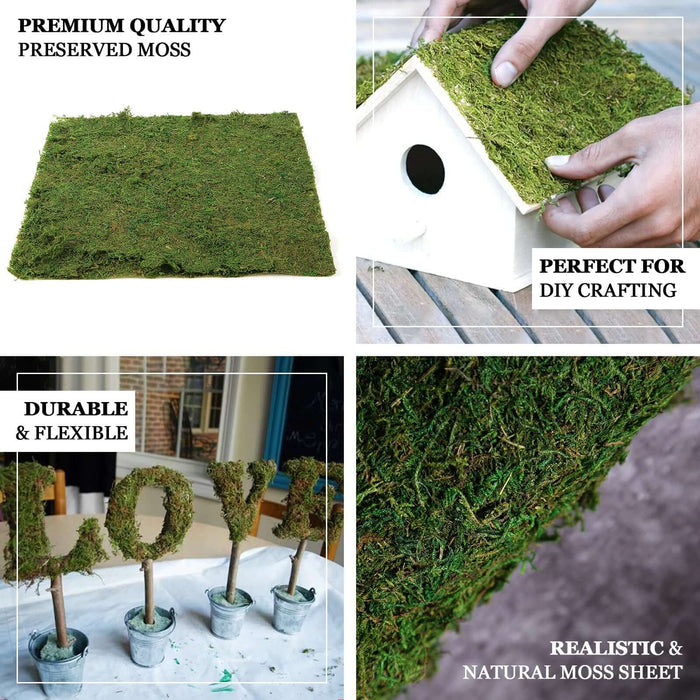 Premium quality preserved moss sheet for DIY crafting and decor.