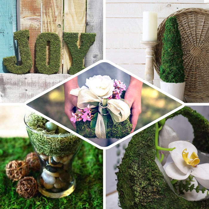 Moss decor arrangements for home styling, featuring floral accents and natural elements.