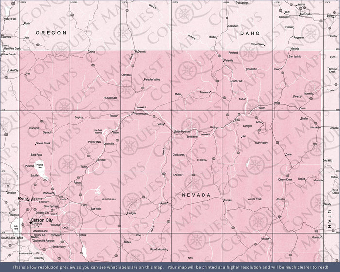 Push Pin Nevada Map (Pin Board) - Pink Color Splash CM Pin Board