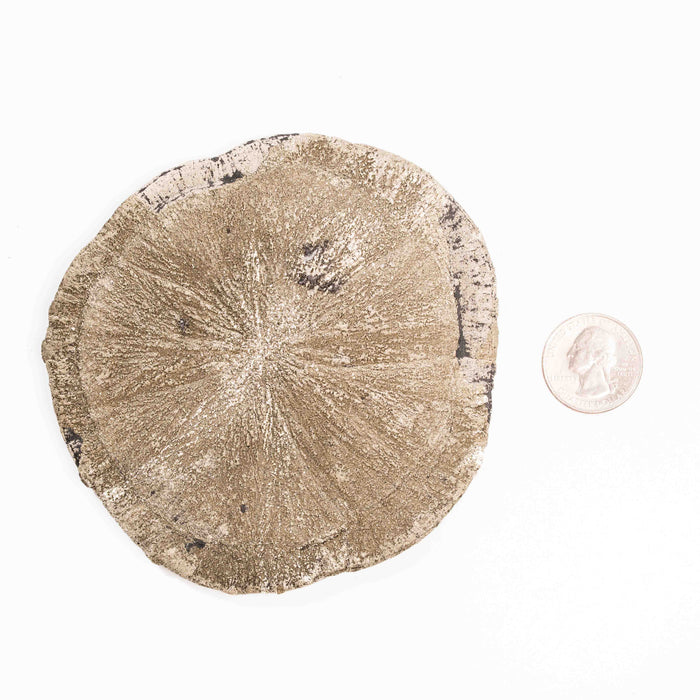 Pyrite - Sun