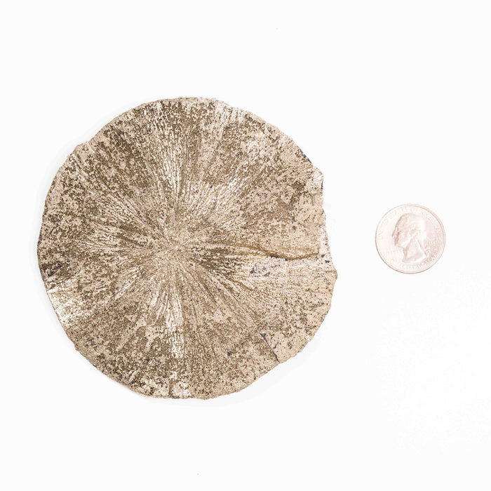 Pyrite - Sun