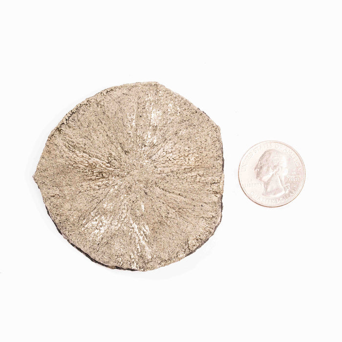 Pyrite - Sun