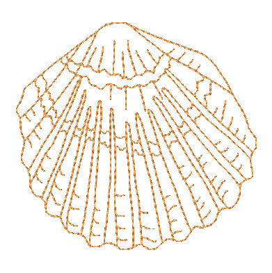 Redwork Snails Seashells and Starfish [4x4] 11501 Machine Embroidery Designs
