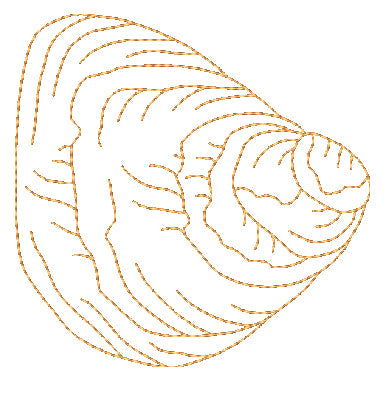 Redwork Snails Seashells and Starfish [4x4] 11501 Machine Embroidery Designs