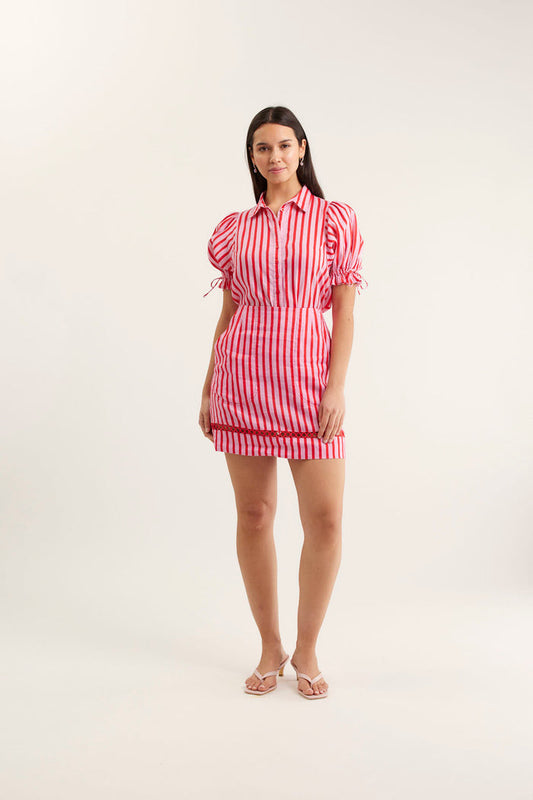 Saskia Breton Skirt  In Pink/Red
