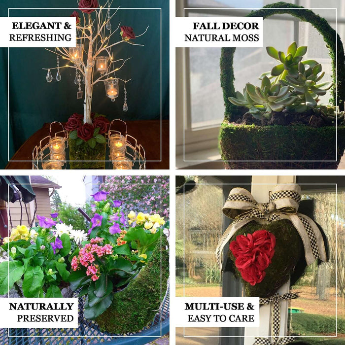 Succulent and moss fall decor arrangement in decorative basket.