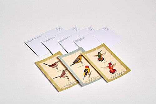 Sibley Backyard Birding Postcards