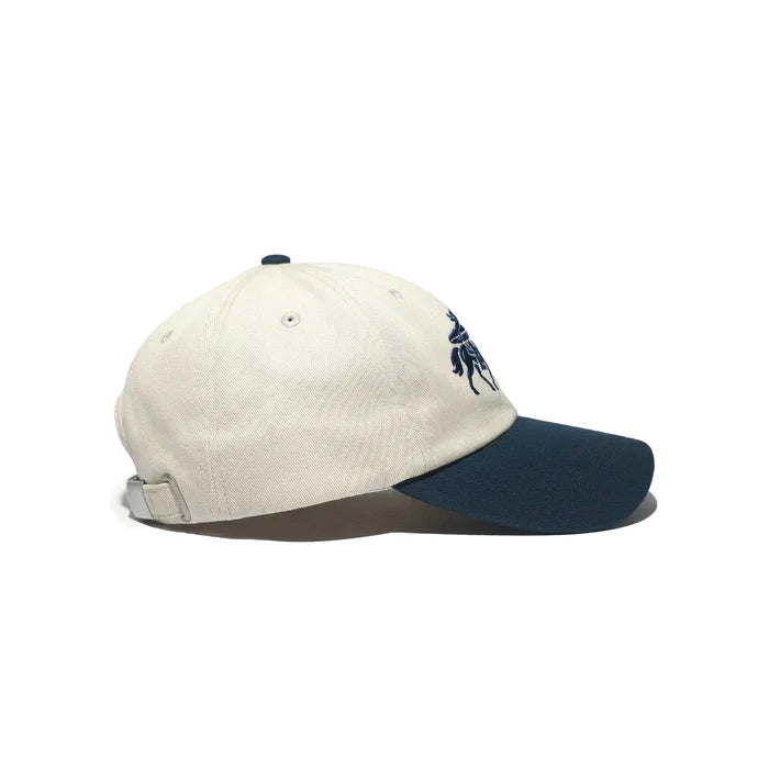 Surfing Cowboys Hat