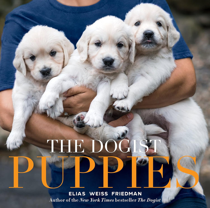 The Dogist Puppies - Findlay Rowe Designs