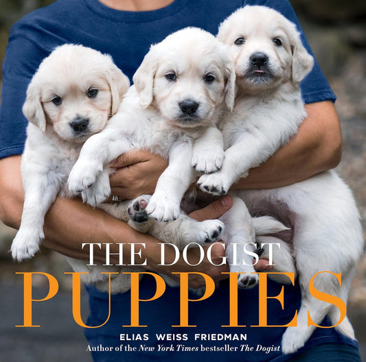The Dogist Puppies - Findlay Rowe Designs