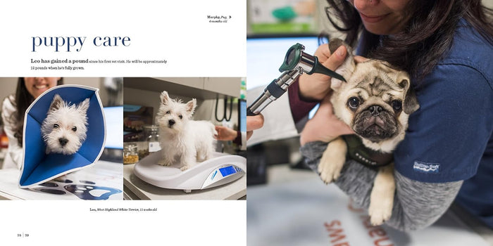 The Dogist Puppies - Findlay Rowe Designs