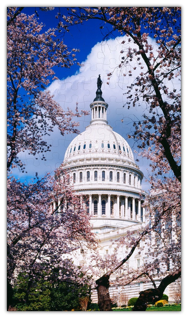 US Capitol in cherry blossoms 144 piece jigsaw puzzle, printed and cut in USA