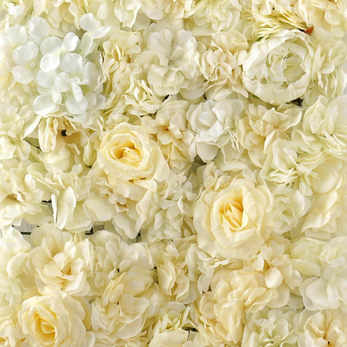 White floral background with a mix of soft roses and delicate petals. #whtbkgd