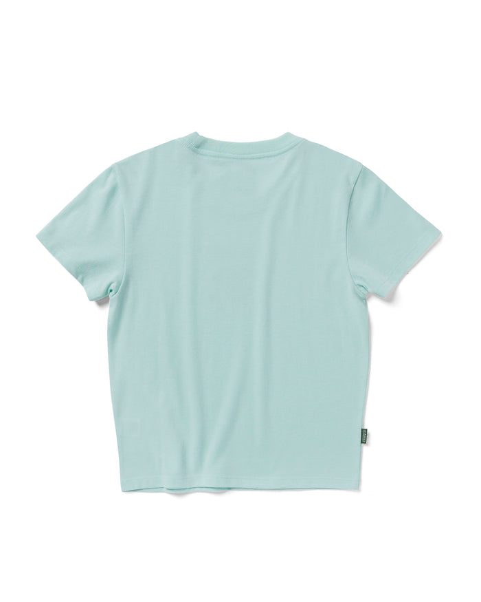 Shop Women's Secret Lives Of Lichen Mini Tee Inspired by our Parks | ash-blue